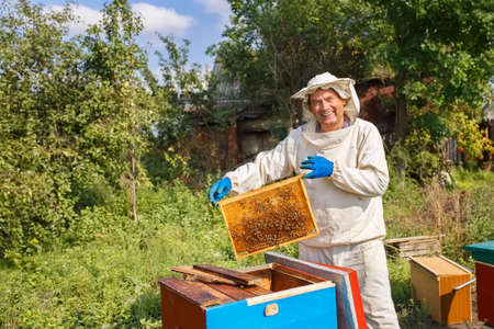 beekeeper inspecting honeycombの写真素材