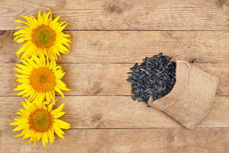 scattered sunflower seeds out of bag and fresh sunflowers on wooden table top view. Agriculture and harvest conceptの写真素材