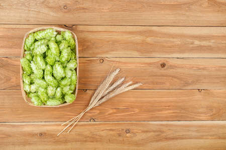 green hops and ears of wheat top viewの写真素材