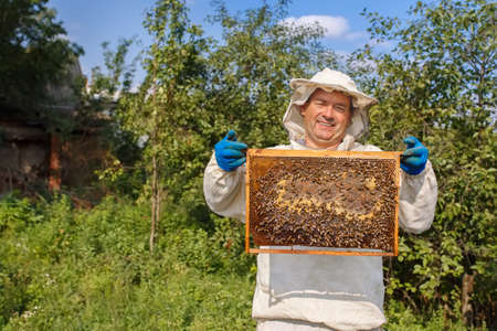 beekeeper with honeycombの写真素材