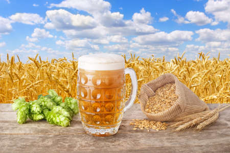 Mug of beer against field
