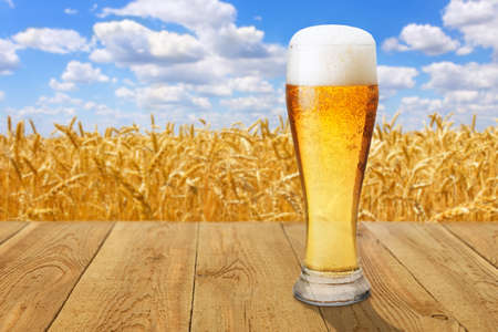 glass of beer against wheat field