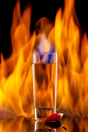 tequila or vodka shot with chili pepperの写真素材