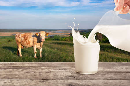 pouring milk with splashesの写真素材