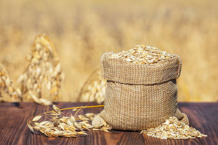 oat flakes and fieldの写真素材