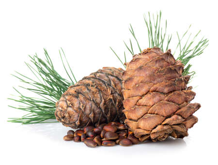 heap of unpeeled cedar nuts