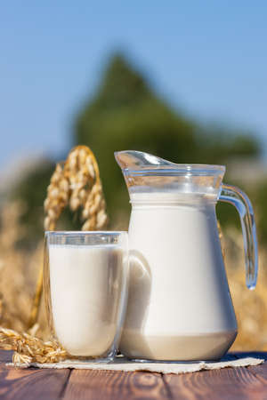 vegan oat milkの写真素材