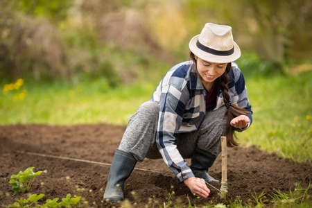 farmer planting seedsの写真素材