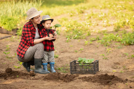 woman gardener with sonの写真素材