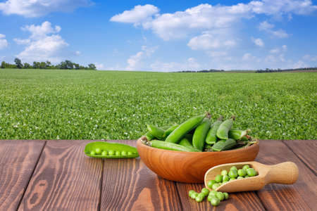 green pods in bowl and peas in scoopの写真素材