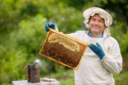 Beekeeper at apiaryの写真素材