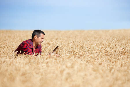Agronomist in wheat fieldの写真素材