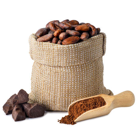 cacao beans in sackの写真素材