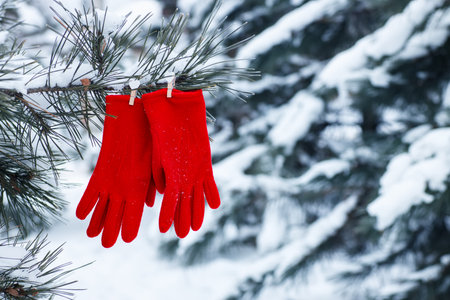 two red gloves hanged on winter treeの写真素材