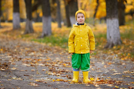 little boy with yellow raincoat walks in puddlesの写真素材