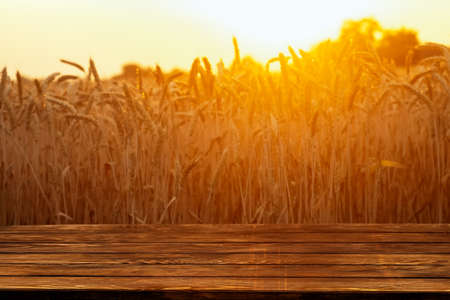 wooden empty table and golden ripe wheat field on sunset as backgroundの写真素材