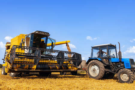 combine harvester and tractor with carriage in ripe wheat field