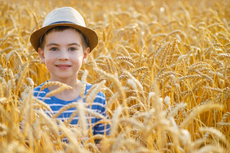 portrait of smiling little boy in blue shirt and hat in ripe yellow wheat fieldの写真素材