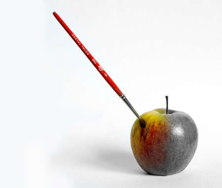 Painted Appleの写真素材