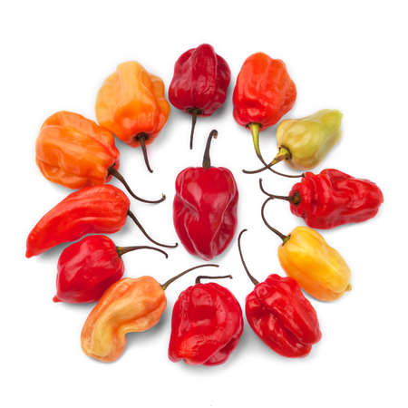 Scotch pepper group - Isolated in white backgroundの写真素材