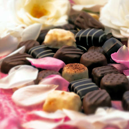 Chocolate truffles and rose petals - Squareの写真素材