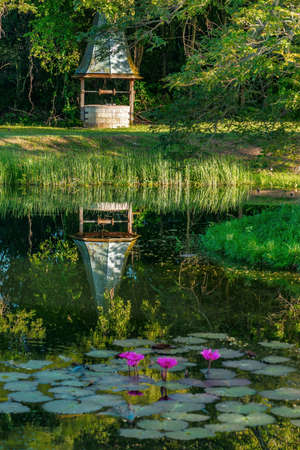 Old vintage colonial well reflecting tropical pond Tobago Caribbeanの写真素材