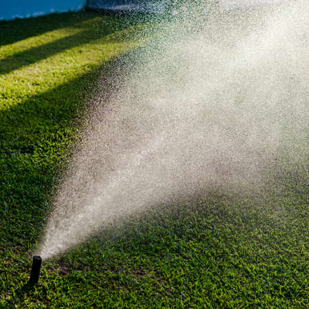Outdoor garden lawn maintenance sprinkler watering system squareの写真素材