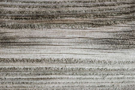 Wood texture background surface grey closeupの写真素材