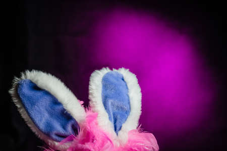 Bunny ears dress up adult play concept closeup fun game activityの写真素材