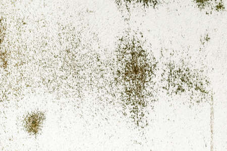 Grunge background brown texture wall rustic rust old organic mildewの写真素材