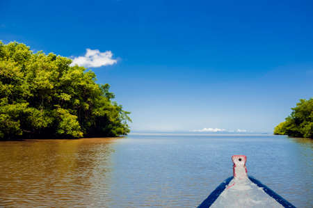 Caroni River mouth boat ride open sea through mangrovesの写真素材