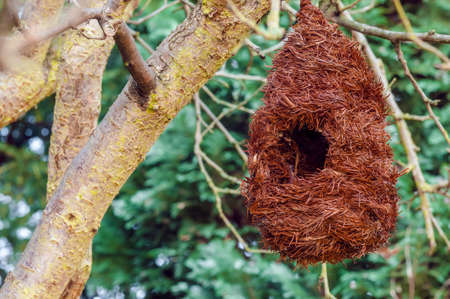 Bird nest house shelter hangging off a branch of a tree