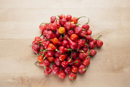 Red Australian Lantern Pepper Capsicum Chinense Little Rubber Nipple bundle wooden background organicの写真素材