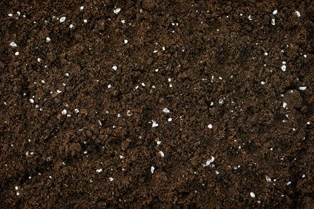 Organic compost soil natural pro mix manure green waste nourishing with perlites textureの写真素材