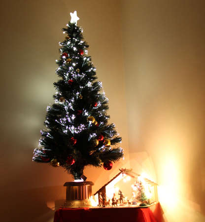 Christmas treeの写真素材