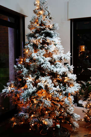 Christmas treeの写真素材