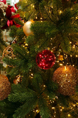 the Christmas tree