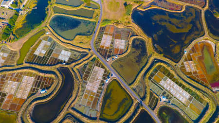An aerial view on the famous Guerande salt marshesの写真素材