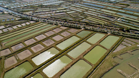 Aerial view of oysters farms in Marennes, Charente Maritimeのeditorial素材
