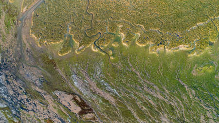 Aerial photo of Bonne Anse bay in La Palmyre at low tideの写真素材