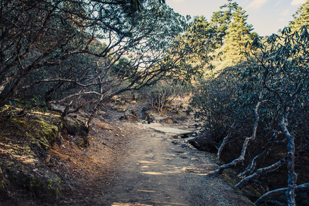 Mountain landscape with beautiful nature. Himalaya mountain view, Sagarmatha national park, Nepal.の写真素材