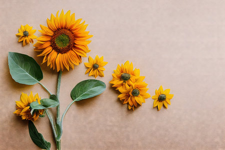 Beige background decorated with flat sunflower flowers with light green leavesの素材