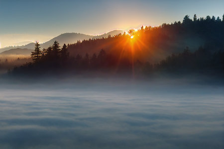 Misty forest covered with thick fog against backdrop of high mountains and sunlightの素材
