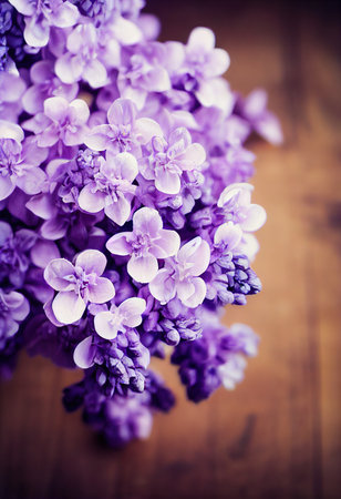 Flowering lilac branches for base for wallpaper flowersの素材