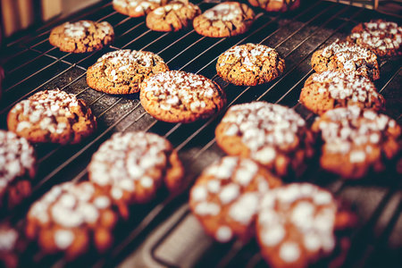 Round freshly baked cranberry biscotti with pieces of berries and nutsの素材