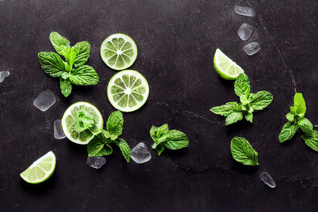 Ingredients for making invigorating mojito cocktails on dark backgroundの素材