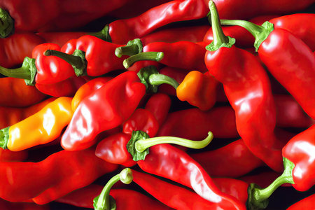 Beautiful glossy red hanging pepper for healthy eatingの素材