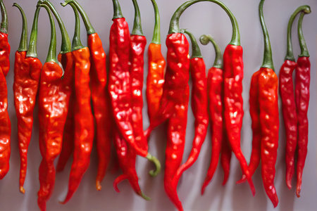 Long red pepper hanging pods for making delicious spicesの素材