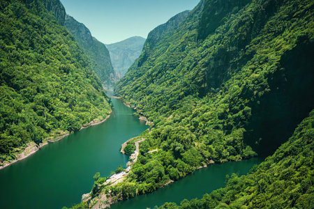Winding mountain river flowing among mountains overgrown with greenery and treesの素材