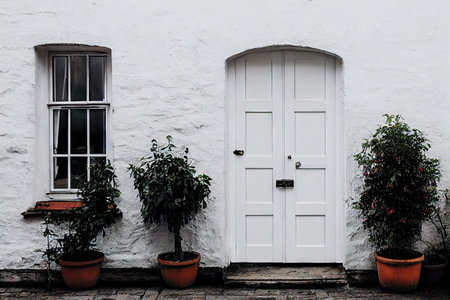 Beautiful white front door of house on white wall of house with green lawnの素材